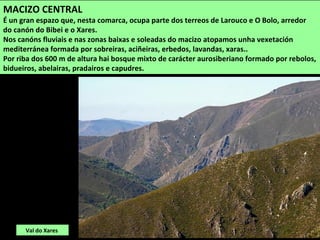 Val do Xares
MACIZO CENTRAL
É un gran espazo que, nesta comarca, ocupa parte dos terreos de Larouco e O Bolo, arredor
do c...