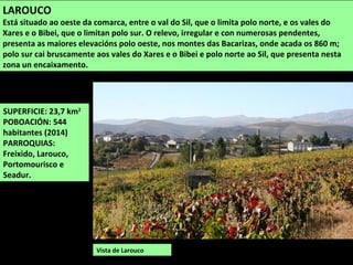 SUPERFICIE: 23,7 km2
POBOACIÓN: 544
habitantes (2014)
PARROQUIAS:
Freixido, Larouco,
Portomourisco e
Seadur.
Vista de Laro...