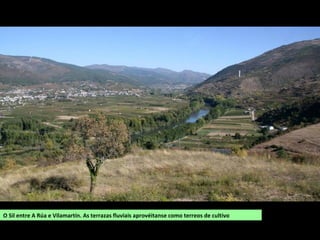 O Sil entre A Rúa e Vilamartín. As terrazas fluviais aprovéitanse como terreos de cultivo
 