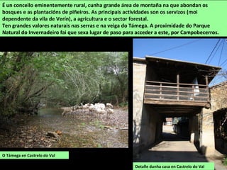 É un concello eminentemente rural, cunha grande área de montaña na que abondan os
bosques e as plantacións de piñeiros. As principais actividades son os servizos (moi
dependente da vila de Verín), a agricultura e o sector forestal.
Ten grandes valores naturais nas serras e na veiga do Támega. A proximidade do Parque
Natural do Invernadeiro fai que sexa lugar de paso para acceder a este, por Campobecerros.
O Támega en Castrelo do Val
Detalle dunha casa en Castrelo do Val
 
