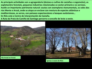 Río Arzoá en Arzoá
As principais actividades son a agrogandaría (destaca o cultivo de castañas e cogomelos), as
explotacións forestais, pequenas industrias relacionadas co sector primario e os servizos.
Acolle un importante patrimonio natural: soutos con exemplares monumentais, os vales dos
ríos Mente e Arzoá, onde se atopa un enclave con mestura de especies atlánticas e
mediterráneas, as serras, con paisaxes espectaculares e bosques autóctonos…
En Riós está o Centro de Interpretación da Castaña.
A Ruta da Prata do Camiño de Santiago percorre o concello de leste a oeste.
Igrexa e souto de Riós
 