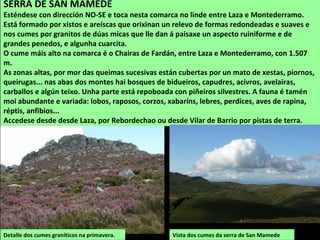 Detalle dos cumes graníticos na primavera.
SERRA DE SAN MAMEDE
Esténdese con dirección NO-SE e toca nesta comarca no linde entre Laza e Montederramo.
Está formado por xistos e areíscas que orixinan un relevo de formas redondeadas e suaves e
nos cumes por granitos de dúas micas que lle dan á paisaxe un aspecto ruiniforme e de
grandes penedos, e algunha cuarcita.
O cume máis alto na comarca é o Chairas de Fardán, entre Laza e Montederramo, con 1.507
m.
As zonas altas, por mor das queimas sucesivas están cubertas por un mato de xestas, piornos,
queirugas... nas abas dos montes hai bosques de bidueiros, capudres, acivros, avelairas,
carballos e algún teixo. Unha parte está repoboada con piñeiros silvestres. A fauna é tamén
moi abundante e variada: lobos, raposos, corzos, xabaríns, lebres, perdices, aves de rapina,
réptis, anfibios...
Accedese desde desde Laza, por Rebordechao ou desde Vilar de Barrio por pistas de terra.
Vista dos cumes da serra de San Mamede
 