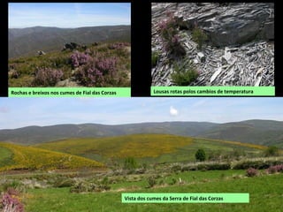 Rochas e breixos nos cumes de Fial das Corzas Lousas rotas polos cambios de temperatura
Vista dos cumes da Serra de Fial das Corzas
 