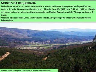 Vista do val do Támega en Laza desde os montes da Requeixada
MONTES DA REQUEIXADA
Esténdense entre a serra de San Mamede e a serra do Larouco e separan as depresións de
Verín e A Limia. Os cumes máis altos son o Alto de Paradiña (987 m) e O Picato (934 m). Desde
os cumes hai unhas vistas moi fermosas sobre o Macizo Central, o val do Támega en Laza e A
Limia.
Accedese pola estrada de Laza a Vilar de Barrio. Desde Alberguería pódese facer unha ruta ata Prado e
Rebordechán.
 