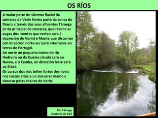 OS RÍOS
Río Támega
(Castrelo do Val)
A maior parte do sistema fluvial da
comarca de Verín forma parte da cunca do
Douro a través dos seus afluentes Támega
(o río principal da comarca, que recolle as
augas dos montes que verten cara á
depresión de Verín) e Mente que discorren
con dirección norte-sur para internarse en
terras de Portugal.
Ao norte un pequeno tramo do río
Hedreira ou da Queixa circula cara ao
Navea, e o Camba, en dirección leste cara
ao Bibei.
Os cursos dos ríos teñen fortes desniveis
nos cursos altos e un discorrer maino e
sinuoso polas chairas de Verín.
 