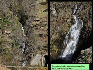 Rego do Corno (Correchouso ou das Cabras-
Trez-Támega) en Toro (Laza)
 