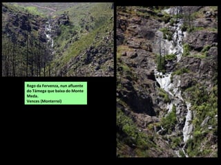 Rego da Fervenza, nun afluente
do Támega que baixa do Monte
Meda.
Vences (Monterrei)
 