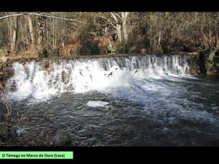 O Támega no Marco do Ouro (Laza)
 