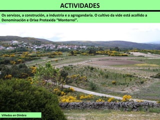 ACTIVIDADES
Os servizos, a construción, a industria e a agrogandaría. O cultivo da vide está acollido a
Denominación e Orixe Protexida “Monterrei”.
Viñedos en Oímbra
 