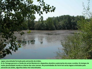 Lagoa naturalizada formada pola extracción de áridos.
O río Támega percorre o fondo do val de Monterrei e depositou aluvións cuaternarios de areas e arxilas. En tempos de
moita pluviosidade inunda as chairas das súas marxes. Na proximidades de Verín hai varias lagoas orixinadas pola
extración de áridos, algunhas delas moi naturalizadas.
 