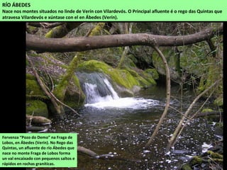RÍO ÁBEDES
Nace nos montes situados no linde de Verín con Vilardevós. O Principal afluente é o rego das Quintas que
atravesa Vilardevós e xúntase con el en Ábedes (Verín).
Fervenza “Pozo do Demo” na Fraga de
Lobos, en Ábedes (Verín). No Rego das
Quintas, un afluente do río Ábedes que
nace no monte Fraga de Lobos forma
un val encaixado con pequenos saltos e
rápidos en rochas graníticas.
 