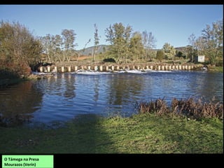 O Támega na Presa
Mourazos (Verín)
 