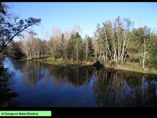O Támega en Rabal (Oímbra)
 