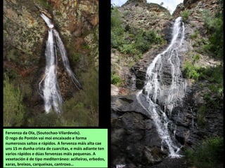 Fervenza da Ola, (Soutochao-Vilardevós).
O rego do Pontón vai moi encaixado e forma
numerosos saltos e rápidos. A fervenza máis alta cae
uns 15 m dunha crista de cuarcitas, e máis adiante ten
varios rápidos e dúas fervenzas máis pequenas. A
vexetación é de tipo mediterráneo: aciñeiras, erbedos,
xaras, breixos, carqueixas, cantroxo…
 