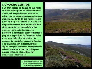 Cumes da Serra de Fial das
Corzas. O punto máis alto é
Cabeza da Veiga do Fial.
LIC MACIZO CENTRAL
É un gran espazo de 45.196 ha que nesta
comarca inclúe parte do concello de Laza.
Ao ser unha superficie tan ampla e co
relevo tan variado atopamos ecosistemas
moi diversos tanto de tipo mediterráneo
(val do Bibei) como atlántico. A zona ten
un grande interese xeolóxico e biolóxico,
aínda que está moi degradada polas
queimas (para obter terras para o
pastoreo) e os bosques están reducidos a
pequenas superficies no fondo dos vales
e nas abas dalgunhas montañas. As
paisaxes de montaña, os canóns dos ríos
e as fervenzas son espectaculares e
algúns bosques conservan exemplares de
árbores centenarios. Acolle unha gran
riqueza botánica e faunística, con
numerosos endemismos.
 