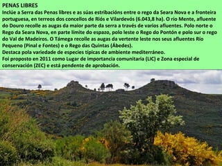 PENAS LIBRES
Inclúe a Serra das Penas libres e as súas estribacións entre o rego da Seara Nova e a fronteira
portuguesa, en terreos dos concellos de Riós e Vilardevós (6.043,8 ha). O río Mente, afluente
do Douro recolle as augas da maior parte da serra a través de varios afluentes. Polo norte o
Rego da Seara Nova, en parte límite do espazo, polo leste o Rego do Pontón e polo sur o rego
do Val de Madeiros. O Támega recolle as augas da vertente leste nos seus afluentes Río
Pequeno (Pinal e Fontes) e o Rego das Quintas (Ábedes).
Destaca pola variedade de especies típicas de ambiente mediterráneo.
Foi proposto en 2011 como Lugar de importancia comunitaria (LIC) e Zona especial de
conservación (ZEC) e está pendente de aprobación.
 