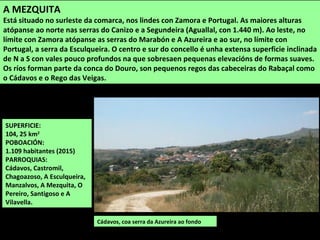 SUPERFICIE:
104, 25 km2
POBOACIÓN:
1.109 habitantes (2015)
PARROQUIAS:
Cádavos, Castromil,
Chagoazoso, A Esculqueira,
Manzalvos, A Mezquita, O
Pereiro, Santigoso e A
Vilavella.
Cádavos, coa serra da Azureira ao fondo
A MEZQUITA
Está situado no surleste da comarca, nos lindes con Zamora e Portugal. As maiores alturas
atópanse ao norte nas serras do Canizo e a Segundeira (Aguallal, con 1.440 m). Ao leste, no
límite con Zamora atópanse as serras do Marabón e A Azureira e ao sur, no límite con
Portugal, a serra da Esculqueira. O centro e sur do concello é unha extensa superficie inclinada
de N a S con vales pouco profundos na que sobresaen pequenas elevacións de formas suaves.
Os ríos forman parte da conca do Douro, son pequenos regos das cabeceiras do Rabaçal como
o Cádavos e o Rego das Veigas.
 