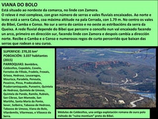 SUPERFICIE: 270,35 km2
POBOACIÓN: 3.037 habitantes
(2015)
PARROQUIAS: Bembibre,
Caldesiños, Cepedelo, Covelo,
Fornelos de Filloás, Fradelo, Froxais,
Grixoa, Hedroso, Louzaregos,
Mourisca, Paradela, Penouta,
Pexeiros, Pinza, Pradocabalos,
Pradorramisquedo, Punxeiro, Quintela
de Hedroso, Quintela de Umoso,
Quintela do Pando, Ramilo, Rubiais,
San Cibrao, San Mamede, San
Martiño, Santa María da Ponte,
Sever, Solbeira, Tabazoa de Hedroso,
Tabazoa de Umoso, Viana do Bolo,
Vilardemilo, Vilarmeao, e Vilaseco da
Serra.
Médulas de Caldesiños, una antiga explotación romana de ouro polo
método de “ruína montium” preto do Bibei.
VIANA DO BOLO
Está situado ao nordeste da comarca, no linde con Zamora.
O releve é moi complexo, con gran número de serras e vales fluviais encaixados. Ao norte e
leste está a serra Calva, coa máxima altitude na pala Cerrada, con 1.79 m. No centro os vales
do Bibei, Camba e Conso. No sur a serra do canizo e no oeste as estribacións da serra da
Queixa. A rede fluvial depende do Bibei que percorre o concello nun val encaixado facendo
un arco, primeiro en dirección sur, facendo linde con Zamora e despois cambia a dirección
norte. Recibe o Camba e o Conso e numerosos regos de curto percorrido que baixan das
serras que rodean o seu curso.
 