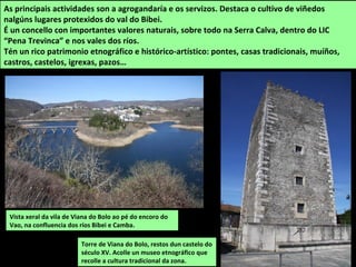 Vista xeral da vila de Viana do Bolo ao pé do encoro do
Vao, na confluencia dos ríos Bibei e Camba.
As principais actividades son a agrogandaría e os servizos. Destaca o cultivo de viñedos
nalgúns lugares protexidos do val do Bibei.
É un concello con importantes valores naturais, sobre todo na Serra Calva, dentro do LIC
“Pena Trevinca” e nos vales dos ríos.
Tén un rico patrimonio etnográfico e histórico-artístico: pontes, casas tradicionais, muíños,
castros, castelos, igrexas, pazos…
Torre de Viana do Bolo, restos dun castelo do
século XV. Acolle un museo etnográfico que
recolle a cultura tradicional da zona.
 