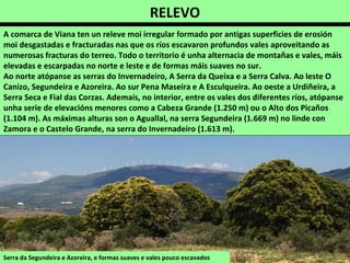 RELEVO
Serra da Segundeira e Azoreira, e formas suaves e vales pouco escavados
A comarca de Viana ten un releve moi irregular formado por antigas superficies de erosión
moi desgastadas e fracturadas nas que os ríos escavaron profundos vales aproveitando as
numerosas fracturas do terreo. Todo o territorio é unha alternacia de montañas e vales, máis
elevadas e escarpadas no norte e leste e de formas máis suaves no sur.
Ao norte atópanse as serras do Invernadeiro, A Serra da Queixa e a Serra Calva. Ao leste O
Canizo, Segundeira e Azoreira. Ao sur Pena Maseira e A Esculqueira. Ao oeste a Urdiñeira, a
Serra Seca e Fial das Corzas. Ademaís, no interior, entre os vales dos diferentes ríos, atópanse
unha serie de elevacións menores como a Cabeza Grande (1.250 m) ou o Alto dos Picaños
(1.104 m). As máximas alturas son o Aguallal, na serra Segundeira (1.669 m) no linde con
Zamora e o Castelo Grande, na serra do Invernadeiro (1.613 m).
 