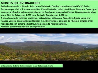 Vista suroeste da Serra do Invernadeiro co val do Camba á dereita
MONTES DO INVERNADEIRO
Esténdense desde o Pico do Seixo ata o Val do río Camba, con orientación NO-SE. Están
formados por xistos, lousas e cuarcitas. Están limitadon polos ríos Ribeira Grande e Conso que
escavan profundos vales e desembocan no Camba no encoro das Portas. Os cumes máis altos
son o Pico do Seixo, con 1.707 m, e Castrelo Grande, con 1.608 m.
A zona ten moito interese xeolóxico, paisaxístico, botánico e faunístico. Posúe unha gran
riqueza vexetal con especies atlánticas e mediterráneas, bosques de ribeira e amplas áreas
repoboadas con piñeiro silvestre. Está declarado Parque Natural.
Accedese pola estrada de Verín a Campobecerros.
 