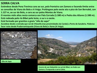 Encoro de san Sebastián no val do Bibei, no linde con
Zamora. Á esquerda a serra Calva.
SERRA CALVA
Esténdese desde Pena Trevinca cara ao sur, pola fronteira con Zamora e facendo límite entre
os concellos de Viana do Bolo e A Veiga. Prolóngase polo oeste ata o pico de San Bernabé, con
1.127 m, ao sur do Bolo, e cara ao sur polos Montes de Viana.
O montes máis altos nesta comarca son Pala Cerrada (1.580 m) e Pedra dos Altares (1.580 m).
Está rodeada polo río Bibei polo leste, o sur e o oeste.
Está formado por granitos e gneis “ollo de sapo”
Accedese desde a estrada que vai de Vilavella (nas proximidades da Canda) a Porto de Sanabria. Pódense
facer rutas desde Pradorramisquedo (Viana do Bolo) e Xares (A Veiga).
Ollo de Sapo
 
