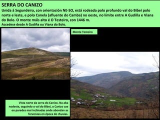 Vista norte da serra do Canizo. Na aba
nodeste, seguindo o val do Bibei, o Canizo cae
en paredes moi inclinadas onde abondan as
fervenzas en época de chuvias.
SERRA DO CANIZO
Unida á Segundeira, con orientación NE-SO, está rodeada polo profundo val do Bibei polo
norte e leste, e polo Canela (afluente do Camba) no oeste, no límite entre A Gudiña e Viana
do Bolo. O monte máis alto é O Testeiro, con 1446 m.
Accedese desde A Gudiña ou Viana do Bolo.
Monte Testeiro
 