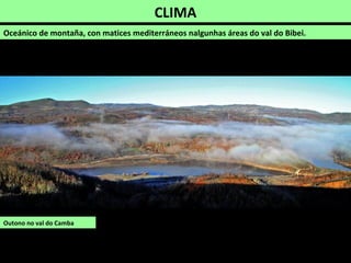 CLIMA
Oceánico de montaña, con matices mediterráneos nalgunhas áreas do val do Bibei.
Outono no val do Camba
 