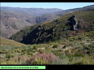 Abas do Canizo cara ao val encaixado do río Bibei
 