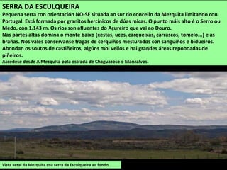 Vista xeral da Mezquita coa serra da Esculqueira ao fondo
SERRA DA ESCULQUEIRA
Pequena serra con orientación NO-SE situada ao sur do concello da Mezquita limitando con
Portugal. Está formada por granitos hercínicos de dúas micas. O punto máis alto é o Serro ou
Medo, con 1.143 m. Os ríos son afluentes do Açureiro que vai ao Douro.
Nas partes altas domina o monte baixo (xestas, uces, carqueixas, carrascos, tomelo...) e as
brañas. Nos vales consérvanse fragas de cerquiños mesturados con sanguiños e bidueiros.
Abondan os soutos de castiñeiros, algúns moi vellos e hai grandes áreas repoboadas de
piñeiros.
Accedese desde A Mezquita pola estrada de Chaguazoso e Manzalvos.
 