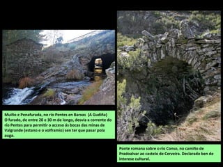 Río Bibei no encoro do Vao
Na contorna dos ríos consérvase un rico patrimonio histórico e etnográfico: muíños, pontes...
Unha grande parte do sistema Bibei-Camba-Cenza está afectada por grandes encoros.
 