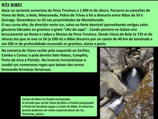 Nos cursos fluviais e na súa contorna hai unha rica flora e fauna. Nas ladeiras máis protexidas
e expostas ao sol danse especies de tipo mediterráneo.
Nos prados da beira do río pódense atopar varias
especies de narcisos, entre elas o de flores máis
grandes e vistosas é o Narcissus pseudonarcissus
ou herba de San Xosé.
 