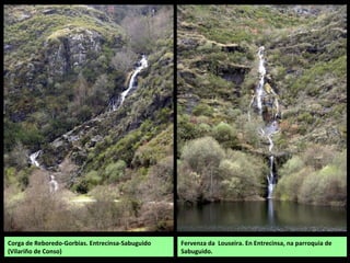 Río Conso nas Hedradas
RÍO CONSO
Chamado Cerveira na súa cabeceira. Nace no Sextil Branco (Serra de Queixa) e baixa entre os Montes do
Invernadeiro e os os montes da Pioreta e a Culadiña, cambiando bruscamente de dirección cara ao norte
para xuntarse co Bibei no encoro do Bao, entre Viana do Bolo e Vilariño de Conso. O principal afluente é o
Cenza.
 