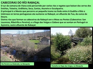 RÍO CENZA
Fórmase no antigo circo glaciar do Corvo do Cavalo, na vertente leste de Cabeza de Manzaneda, e xúntase
ao Camba en Vilariño de Conso. O seu tramo alto quedou asolagado por un encoro que fixo desaparecer o
mellor val glaciar de Galiza e interesantes representacións de turbeiras de montaña.
O río Cenza nas abas da serra da Queixa
 