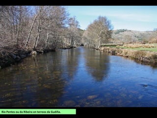 Salto da Cenza (Castiñeiras, Vilariño de
Conso).
Un desnivel en rochas graníticas de máis
de100 m de altura (é a fervenza máis alta de
Galiza). Antes do salto o río forma un pequeno
canón con varios saltos máis pequenos, pozas
e rápidos.
 
