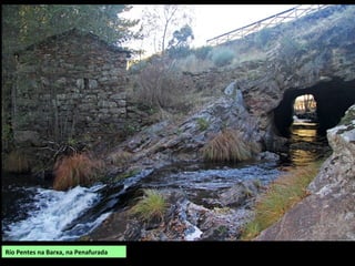 Río Pereiro ou Diabredo, na Mezquita
CABECEIRAS DO RÍO RABAÇAL
O sur da comarca de Viana está percorrido por varios ríos e regatos que baixan das serras dos
Entirlos, Teixeira, Urdiñeira, Seca, Canizo, Azureira e Esculqueira.
O principal é o Mente que percorre un pequeño tramo no linde entre A Gudiña e Riós e
intérnase en terras portuguesas ata xuntarse co Rabaçal, un afluente do Tua, da cunca do
Douro.
Outros ríos que forman as cabeceiras do Rabaçal son o Moas ou Pentes (Cabeceiras: San
Lourenzo, Ribeiriña e Pereiro); e o Rego das Veigas e Cádavo que forman en Portugal o
Açúreiro, outro afluente do Rabaçal.
Pontella no Rego das Veigas, na Mezquita
 