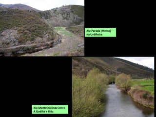 Río Pentes ou da Ribeira en terreos da Gudiña.
 