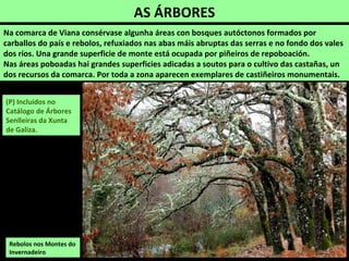 Río Pentes na Barxa, na Penafurada
 