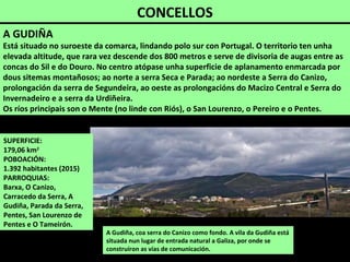CONCELLOS
A Gudiña, coa serra do Canizo como fondo. A vila da Gudiña está
situada nun lugar de entrada natural a Galiza, por onde se
construíron as vías de comunicación.
A GUDIÑA
Está situado no suroeste da comarca, lindando polo sur con Portugal. O territorio ten unha
elevada altitude, que rara vez descende dos 800 metros e serve de divisoria de augas entre as
concas do Sil e do Douro. No centro atópase unha superficie de aplanamento enmarcada por
dous sitemas montañosos; ao norte a serra Seca e Parada; ao nordeste a Serra do Canizo,
prolongación da serra de Segundeira, ao oeste as prolongacións do Macizo Central e Serra do
Invernadeiro e a serra da Urdiñeira.
Os ríos principais son o Mente (no linde con Riós), o San Lourenzo, o Pereiro e o Pentes.
SUPERFICIE:
179,06 km2
POBOACIÓN:
1.392 habitantes (2015)
PARROQUIAS:
Barxa, O Canizo,
Carracedo da Serra, A
Gudiña, Parada da Serra,
Pentes, San Lourenzo de
Pentes e O Tameirón.
 