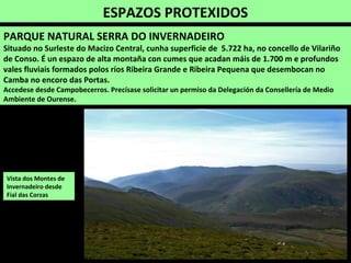 Carballo (Querqus robur)
Pai dos Rebolos (Dradelo Viana do Bolo) (P)
Fieiró (Montes do Invernadeiro)
Pai dos Rebolos (Dradelo, Taboaza de Umoso,
Viana do Bolo)
Carballos nos Montes do Invernadeiro
 