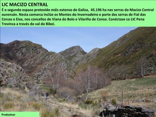 ESPAZOS PROTEXIDOS
Vista dos Montes de
Invernadeiro desde
Fial das Corzas
PARQUE NATURAL SERRA DO INVERNADEIRO
Situado no Surleste do Macizo Central, cunha superficie de 5.722 ha, no concello de Vilariño
de Conso. É un espazo de alta montaña con cumes que acadan máis de 1.700 m e profundos
vales fluviais formados polos ríos Ribeira Grande e Ribeira Pequena que desembocan no
Camba no encoro das Portas.
Accedese desde Campobecerros. Precísase solicitar un permiso da Delegación da Consellería de Medio
Ambiente de Ourense.
 