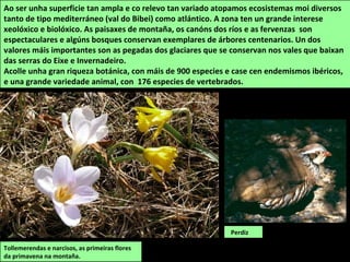 O espazo ten un grande interese xeolóxico, paisaxístico, botánico e faunístico. Posúe unha
gran riqueza vexetal con especies atlánticas e mediterráneas, bosques de ribeira e amplas
áreas repoboadas con piñeiro silvestre. Destaca pola riqueza da súa fauna silvestre, con 150
especies de vertebrados (40 mamíferos e 90 aves).
Polygala microphylla
Cervo (Cervus elaphus). Foi reintroducido e críase
en espazos pechados para logo soltalo.
 