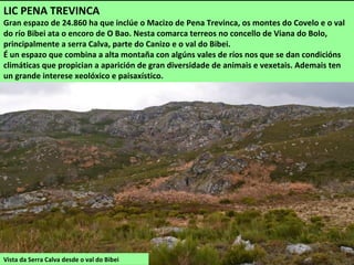 Pradoalvar
LIC MACIZO CENTRAL
É o segundo espazo protexido máis extenso de Galiza, 45.196 ha nas serras do Macizo Central
ourensán. Nesta comarca inclúe os Montes do Invernadeiro e parte das serras de Fial das
Corzas e Eixe, nos concellos de Viana do Bolo e Vilariño de Conso. Conéctase co LIC Pena
Trevinca a través do val do Bibei.
 