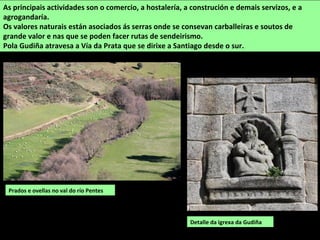 Prados e ovellas no val do río Pentes
As principais actividades son o comercio, a hostalería, a construción e demais servizos, e a
agrogandaría.
Os valores naturais están asociados ás serras onde se consevan carballeiras e soutos de
grande valor e nas que se poden facer rutas de sendeirismo.
Pola Gudiña atravesa a Vía da Prata que se dirixe a Santiago desde o sur.
Detalle da igrexa da Gudiña
 