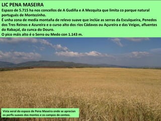 Vista da Serra Calva desde o val do Bibei
LIC PENA TREVINCA
Gran espazo de 24.860 ha que inclúe o Macizo de Pena Trevinca, os montes do Covelo e o val
do río Bibei ata o encoro de O Bao. Nesta comarca terreos no concello de Viana do Bolo,
principalmente a serra Calva, parte do Canizo e o val do Bibei.
É un espazo que combina a alta montaña con algúns vales de ríos nos que se dan condicións
climáticas que propician a aparición de gran diversidade de animais e vexetais. Ademais ten
un grande interese xeolóxico e paisaxístico.
 