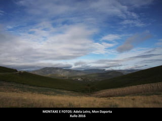 Vista xeral do espazo de Pena Maseira onde se aprecian
os perfís suaves dos montes e os campos de centeo.
LIC PENA MASEIRA
Espazo de 5.715 ha nos concellos de A Gudiña e A Mezquita que limita co parque natural
portugués de Montezinho.
É unha zona de media montaña de relevo suave que inclúe as serras da Esculqueira, Penedos
dos Tres Reinos e Azureira e o curso alto dos ríos Cádavos ou Açureira e das Veigas, afluentes
do Rabaçal, da cunca do Douro.
O pico máis alto é o Serro ou Medo con 1.143 m.
 