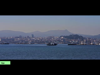 Vigo
 