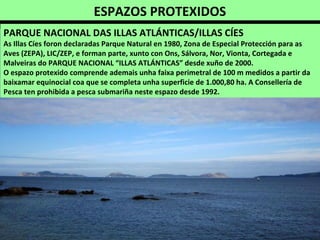 ESPAZOS PROTEXIDOS
PARQUE NACIONAL DAS ILLAS ATLÁNTICAS/ILLAS CÍES
As Illas Cíes foron declaradas Parque Natural en 1980, Zona de Especial Protección para as
Aves (ZEPA), LIC/ZEP, e forman parte, xunto con Ons, Sálvora, Nor, Vionta, Cortegada e
Malveiras do PARQUE NACIONAL “ILLAS ATLÁNTICAS” desde xuño de 2000.
O espazo protexido comprende ademais unha faixa perimetral de 100 m medidos a partir da
baixamar equinocial coa que se completa unha superficie de 1.000,80 ha. A Consellería de
Pesca ten prohibida a pesca submariña neste espazo desde 1992.
 