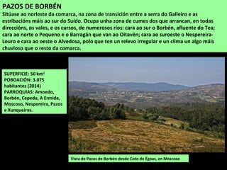 Vista de Pazos de Borbén desde Coto de Égoas, en Moscoso
SUPERFICIE: 50 km2
POBOACIÓN: 3.075
habitantes (2014)
PARROQUIAS: Amoedo,
Borbén, Cepeda, A Ermida,
Moscoso, Nespereira, Pazos
e Xunqueiras.
PAZOS DE BORBÉN
Sitúase ao norleste da comarca, na zona de transición entre a serra do Galleiro e as
estribacións máis ao sur do Suído. Ocupa unha zona de cumes dos que arrancan, en todas
direccións, os vales, e os cursos, de numerosos ríos: cara ao sur o Borbén, afluente do Tea;
cara ao norte o Pequeno e o Barragán que van ao Oitavén; cara ao suroeste o Nespereira-
Louro e cara ao oeste o Alvedosa, polo que ten un relevo irregular e un clima un algo máis
chuvioso que o resto da comarca.
 
