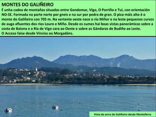 Vista da serra do Galiñeiro desde Monteferro
MONTES DO GALIÑEIRO
É unha cadea de montañas situadas entre Gondomar, Vigo, O Porriño e Tui, con orientación
NO-SE. Formada na parte norte por gneis e na sur por pedra de gran. O pico máis alto é o
monte do Galiñeiro con 705 m. Na vertente oeste nace o río Miñor e na leste pequenos cursos
de auga afluentes dos ríos Louro e Miño. Desde os cumes hai boas vistas panorámicas sobre a
costa de Baiona e a Ría de Vigo cara ao Oeste e sobre as Gándaras de Budiño ao Leste.
O Acceso faise desde Vincios ou Morgadáns.
 